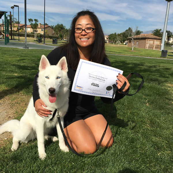Lady at a park with a blue eyed white husky, showing off their completion certificate.