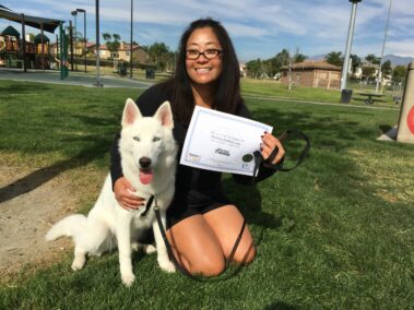 Dog Training Graduate