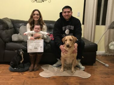 Dog Training Graduates