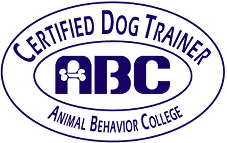Dog Behavior Training