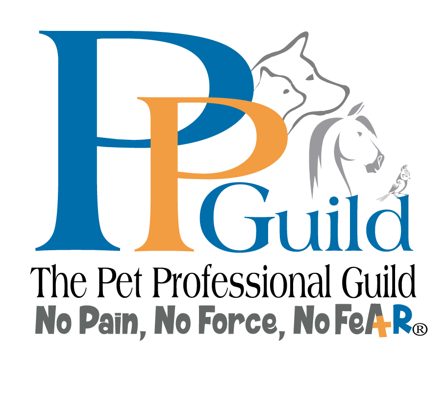 Professional Pet Training