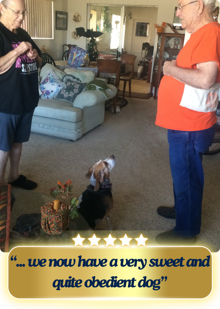 A sweet couple playing recall games with their beagle mix dog.