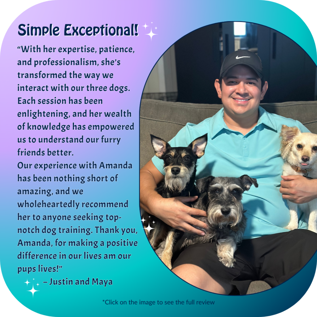 Guy holding his 3 dogs